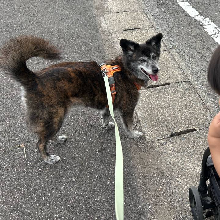 129a26bb bef9 4189 ac9a 6b2c099b9370 1760968036991