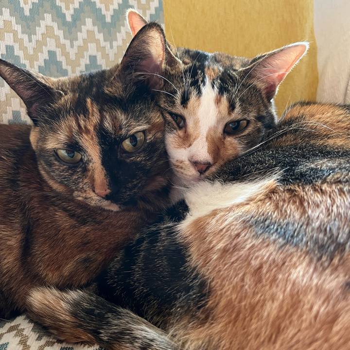 129a3a92 67f4 4c69 bb79 d40677d0dbcf 1689666122461