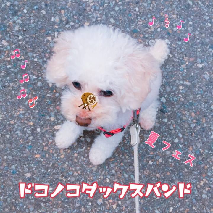 129a46cd e30f 4597 be84 975d3f77ef32 1534032428119