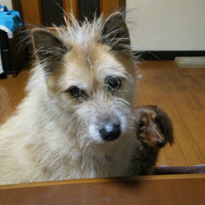 129a5f12 adfe 4860 b3b2 fc90c48cddc1 1511068956619