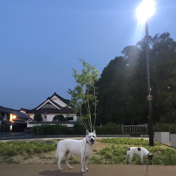 129a60d9 e553 47fa a7f2 801ff27600c6 1533470084716