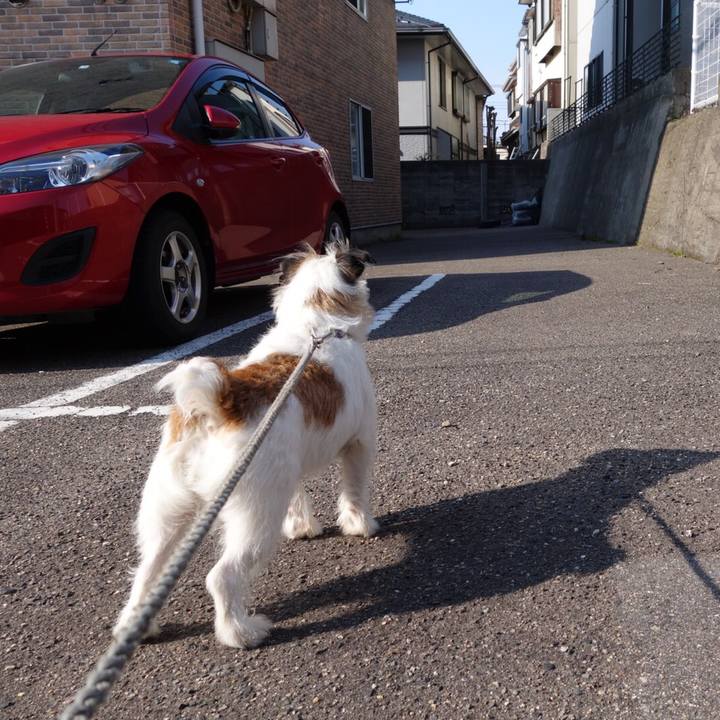 129a6aa1 4dcd 443e b5fe 2cce0437638f 1554423675355