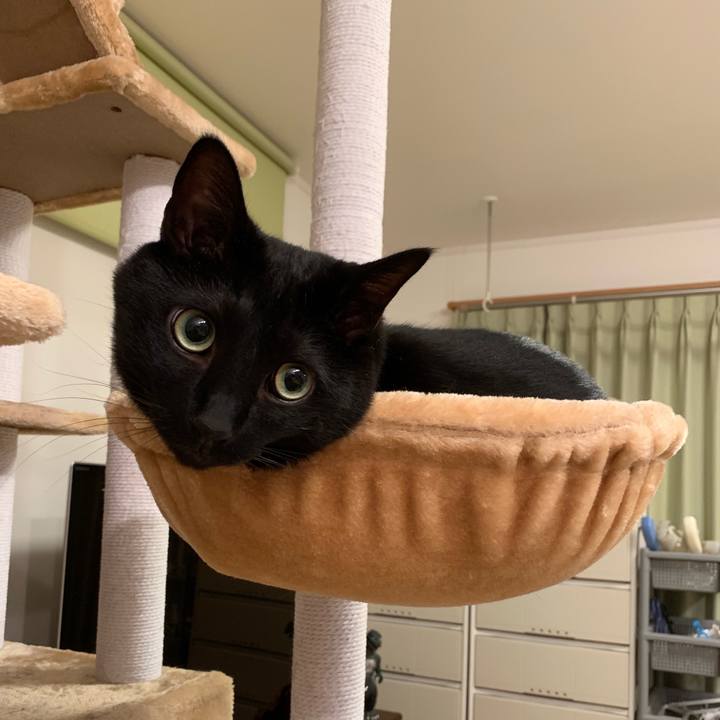 129a990b 3664 42a0 a729 71cc502caf53 1565277103894