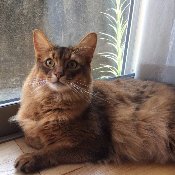 129a9a1e 3dfd 4f4c 8ea9 7a7a9d81debd 1627889013049