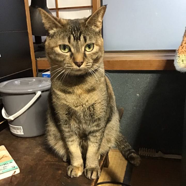 129ae19b 368c 4ca1 acfb d1ec78971842 1682248331983