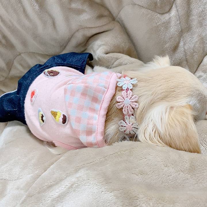 129aff97 df29 45ff 87a6 4cece28c2428 1615189637874