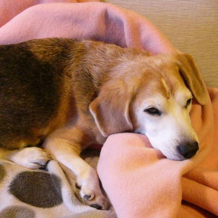 129b36a7 7196 4383 adc2 cadd8afe691c 1673052827310