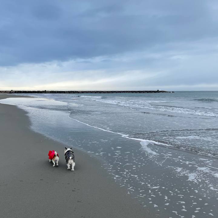 129b400b 2173 4c72 a2e5 9708ac17f0cb 1673055249048