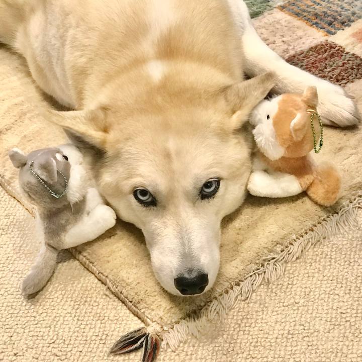 129b554f 5f4d 4e73 aa89 232dc0bf704f 1673413089175