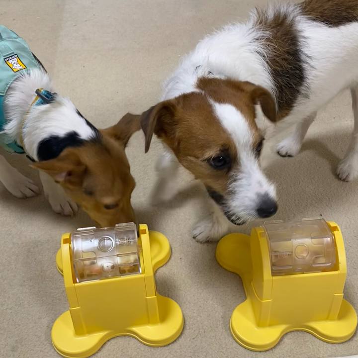 129b7739 596c 4b41 87c2 fad49bb9bc05 1753622382303