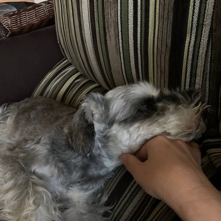 129b874b 3829 47d0 b1c0 3fe3a2f741e3 1599548619762