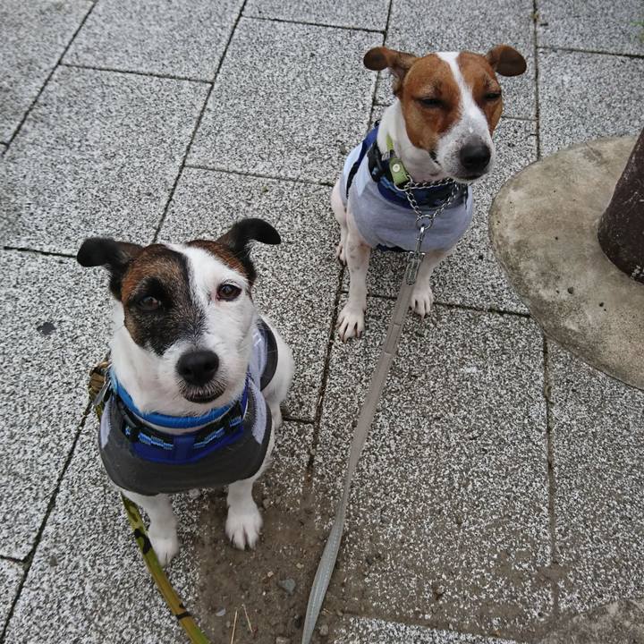 129b9269 626e 4516 bcbc 45bcd28d3fbe 1568324692391