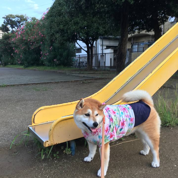 129baf5b 423e 48b8 b0d3 b957a272cca6 1566339398089