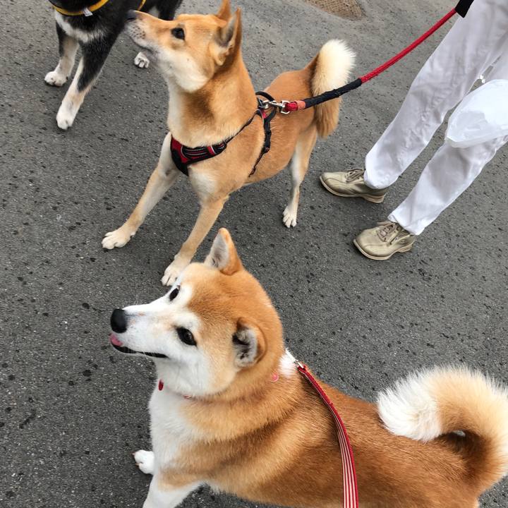 129bbea9 b583 4b2b 99bd 6ce72764d8de 1595548713307