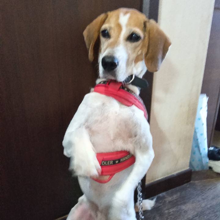 129bce01 45b6 466d 9235 715acf43bf30 1725534466210