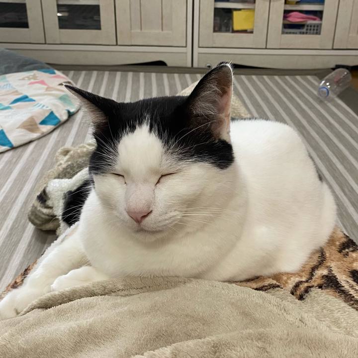 129bef91 cee5 4e2d a11f dee871b6f16e 1629166621998