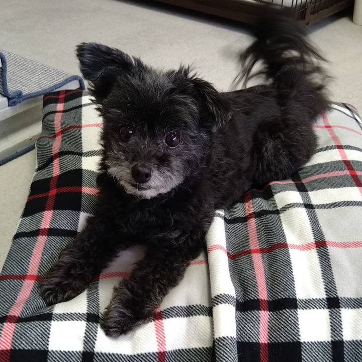 129c1235 dec1 4212 9a2d 0079b66460d8 1653172474638