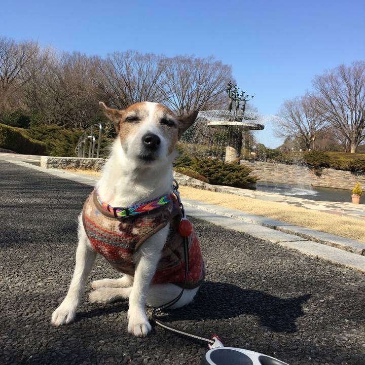 129c139c 62c9 4be7 aa94 7f9790b1b789 1582759372676