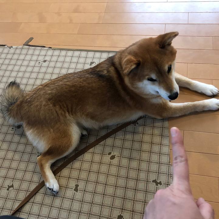 129c664a 8939 4f26 ac74 eb4e901663c7 1583013067704