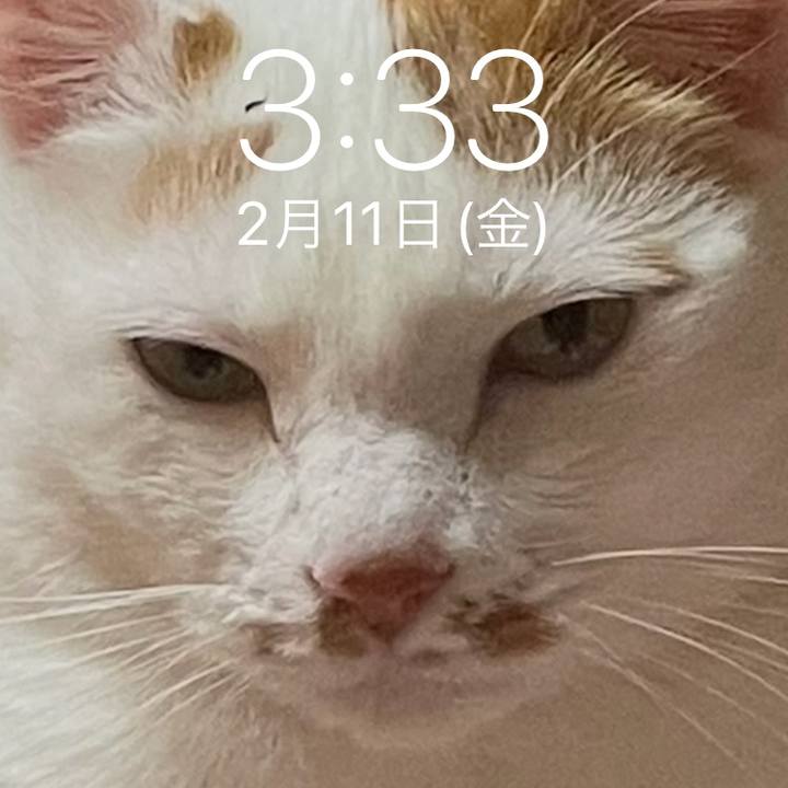 129c902b 0d4d 4423 9fd8 674b41a90396 1644518904370