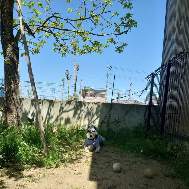 129cd42d 430c 44a2 a3e1 3ae46f885ef4 1777086767830