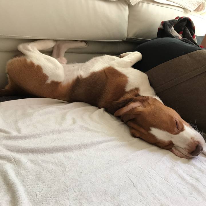 129ce5f1 2812 46ba ae67 63a435594082 1530329026470