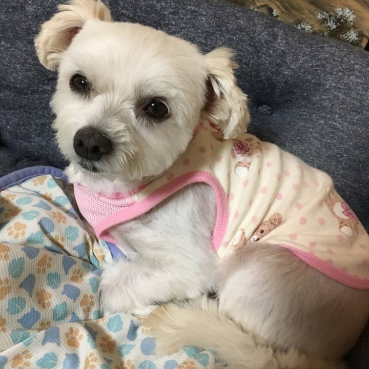 129cf42b c502 44e8 a908 c0dcec12b5e8 1537956128804