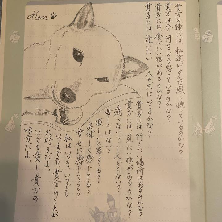 129d256c ce38 4422 b1f8 63e1ad5691e8 1662871601741