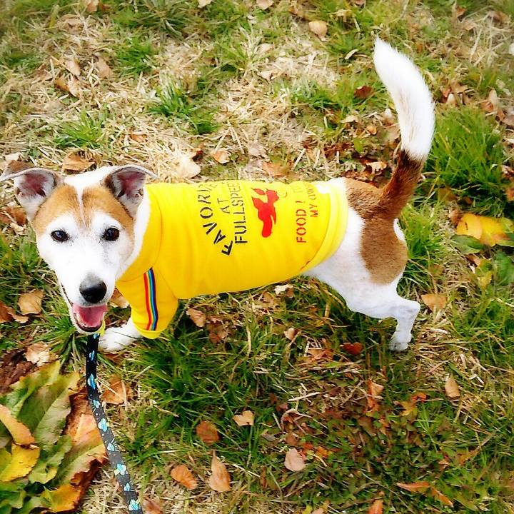 129d47f1 4cb2 4e57 a95a 9dd207b5256a 1514677229537