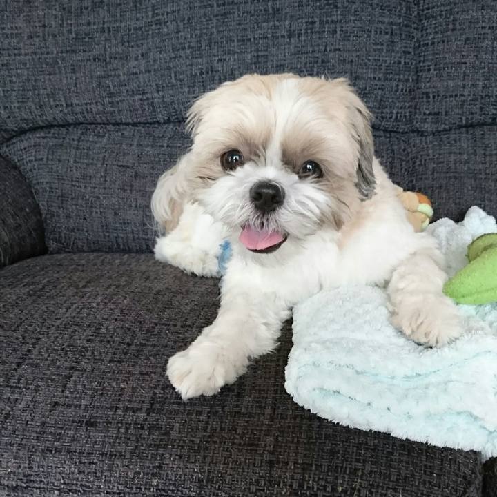 129d4884 e84d 40b4 9fe2 f97aea80fc2e 1533616973945