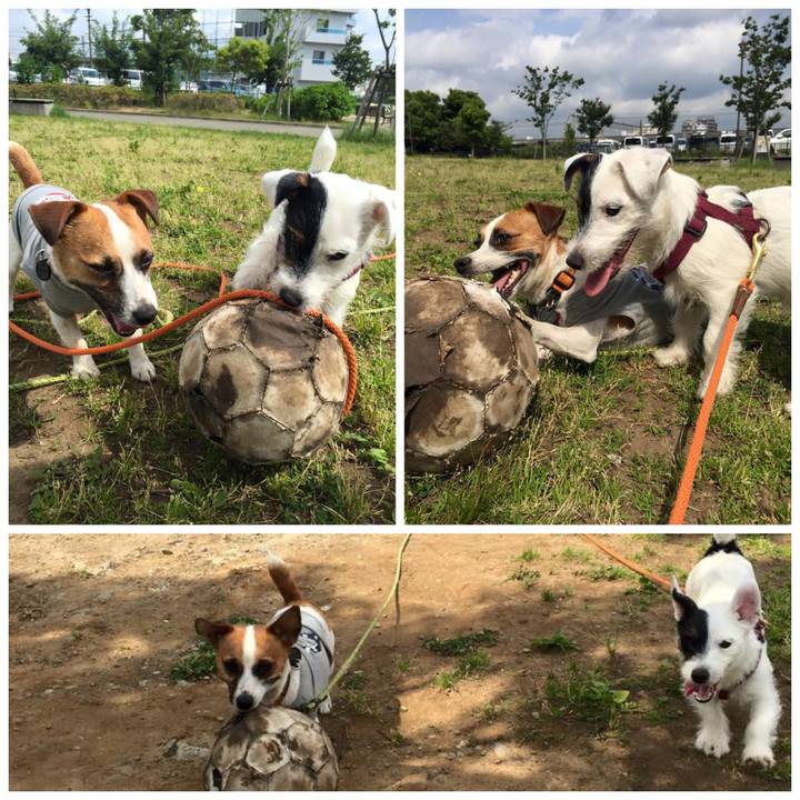 129d7e24 08f5 4f90 8a58 df45f5cbb853 1558183684411