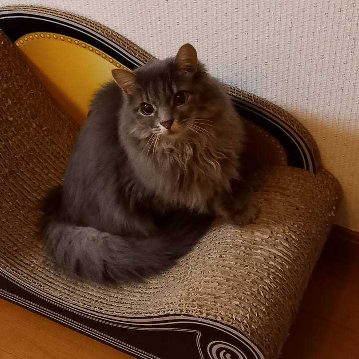 129d8a3d ccdf 4d76 b257 f6cfbaea4f56 1636497115356