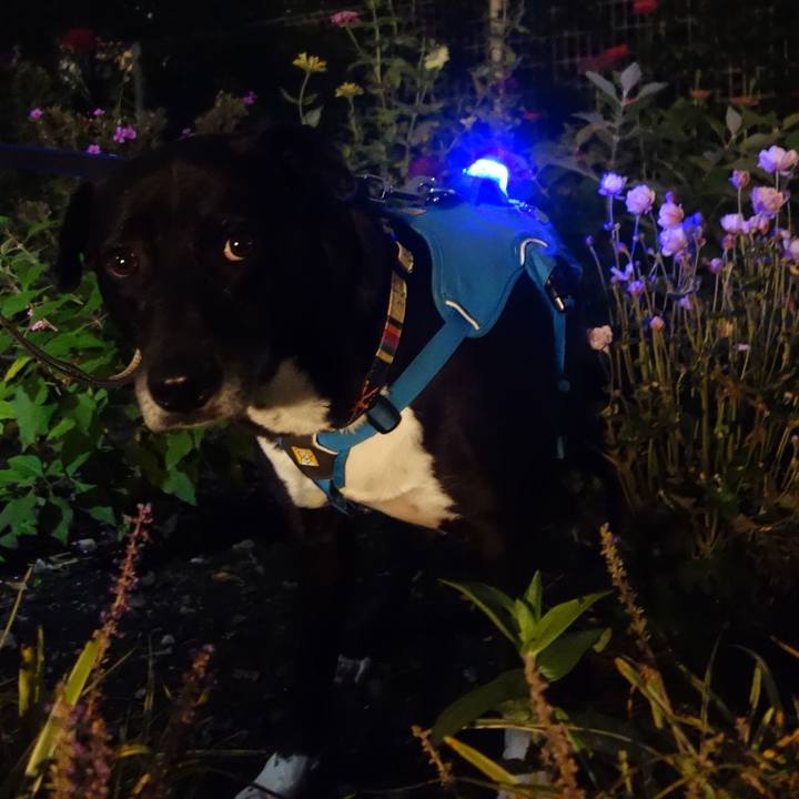 129dc639 e998 4e12 b7ab 84e3c0b61342 1697279594338