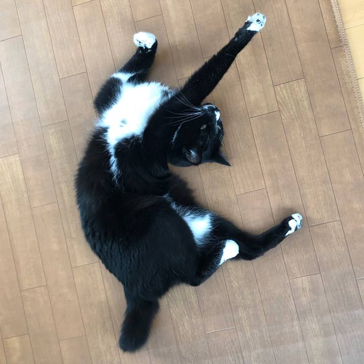 129de47b 0ca0 4f01 9f79 d962acfb7bd1 1611200629596