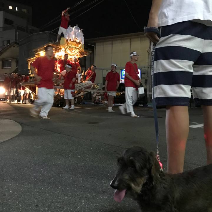 129e1fe4 f3e4 41d9 97e8 7e92cfbbfe48 1532268719307