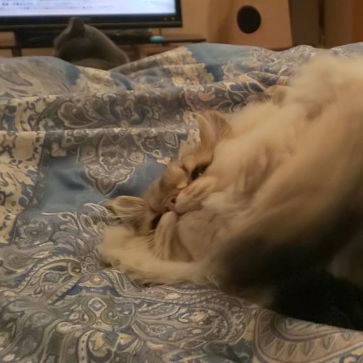 129e23f7 7ab2 4c8a 858e 58f44b2b097e 1574589836918