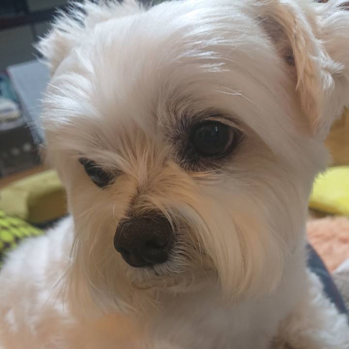 129e3916 c51f 43d5 b764 8a1c42d0d619 1611827313569