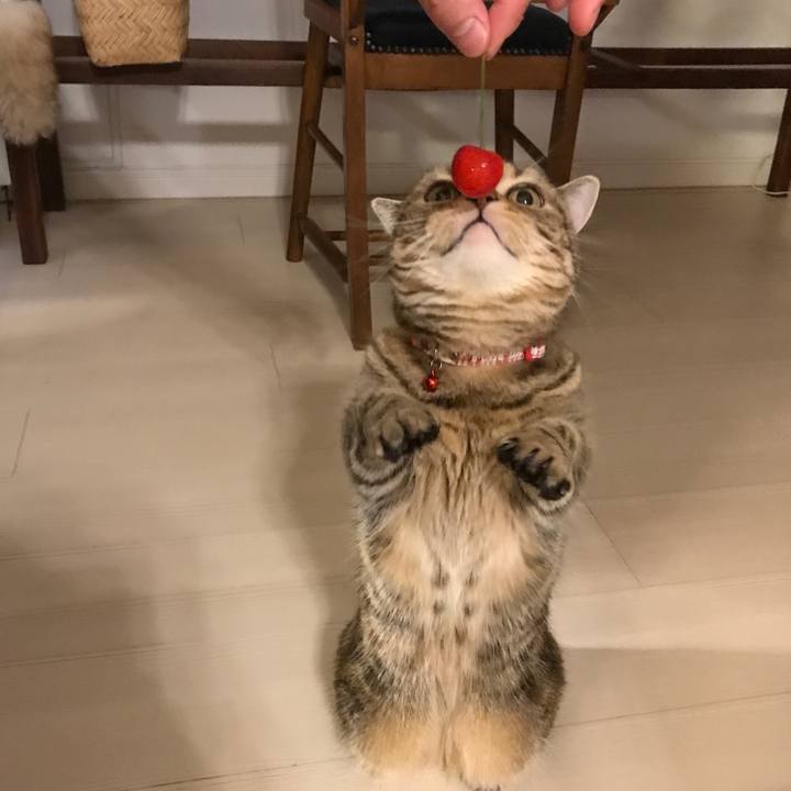 129e4284 98b8 434e 83fe 4584ea19ff5c 1529585204735