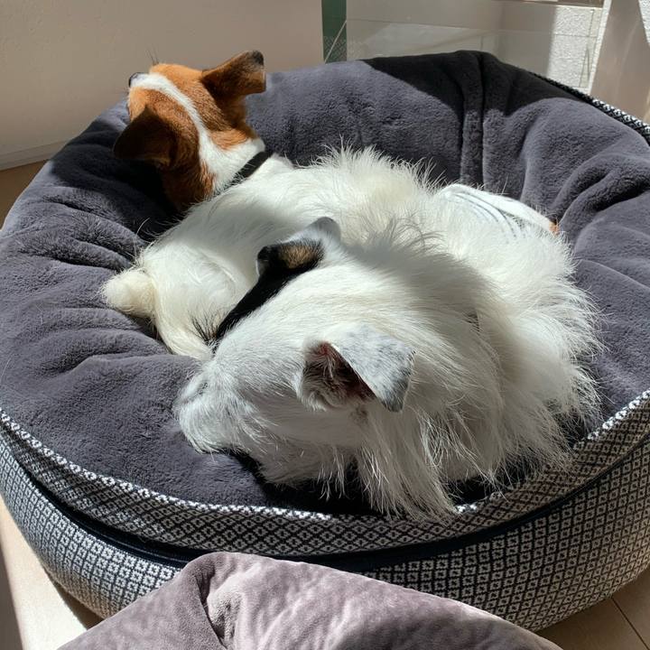 129e62b3 68b2 4cea b782 e20913e42b41 1599186445131