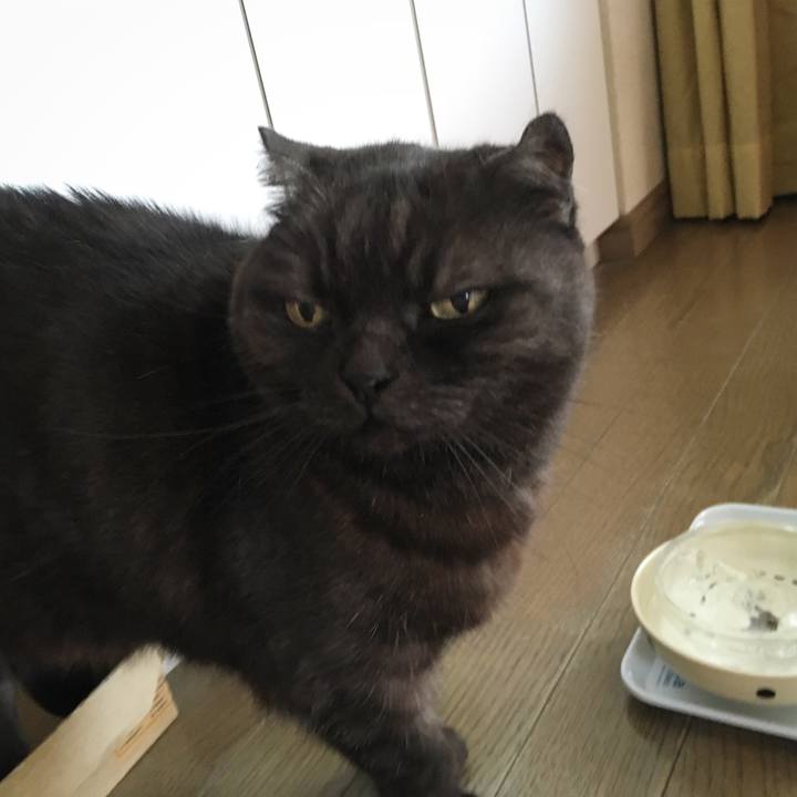 129e8cae f860 4461 aa4a bd9466b18277 1587052693382