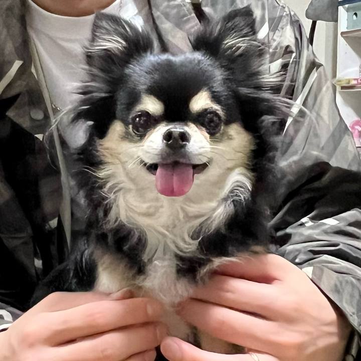 129ea7e9 afa2 4fde 8364 17e73cb73d38 1711928181370