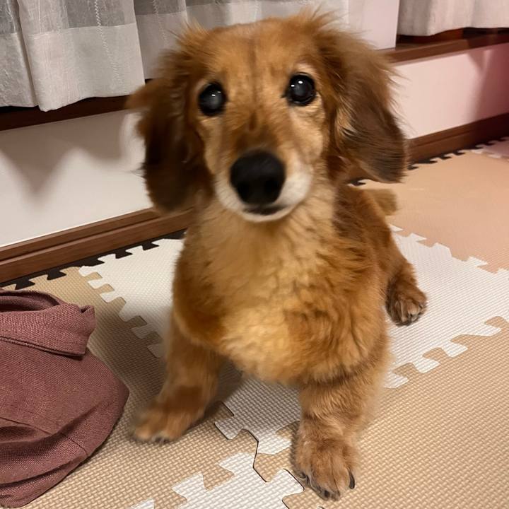 129ec5d3 00bb 4c2a b005 c2b9fe9bbb34 1650721438938