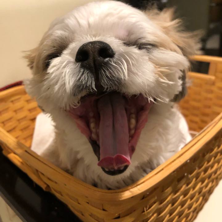 129ee3b6 e7de 4931 bc94 a3328b4557ef 1571402888061