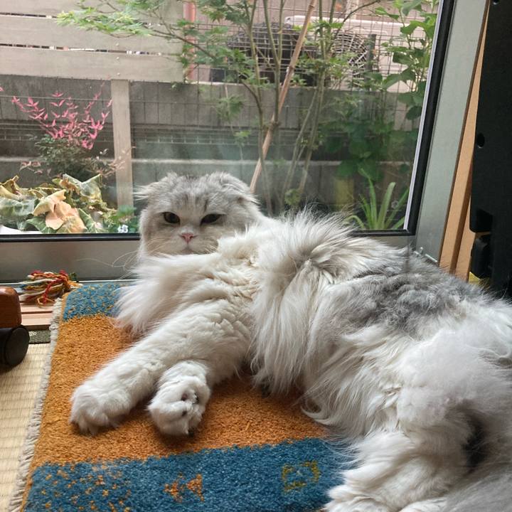 129f11c4 3159 4aa1 a1bb 164b31888e93 1650725406812