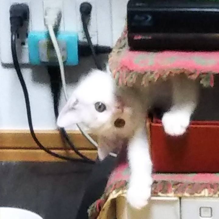 129f3d64 95de 4e4d 8b06 8ca6bf4fe79b 1633240793357