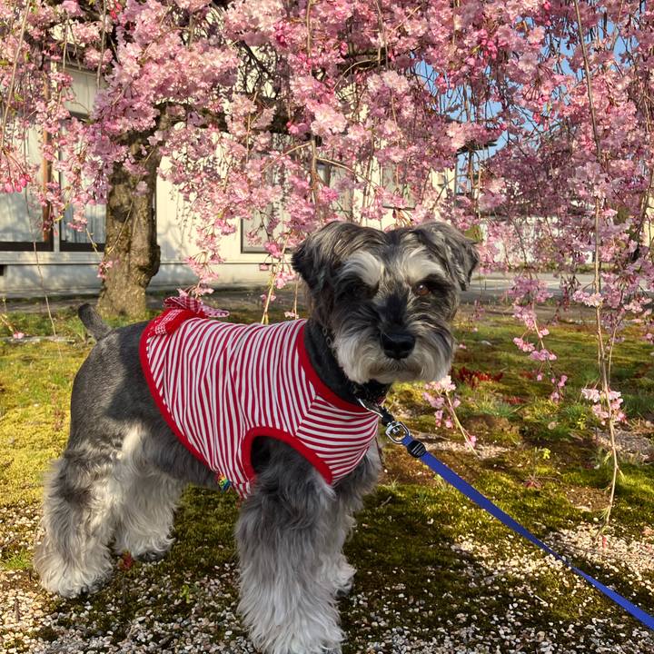 129f4bfe a185 4b50 a527 f831ca27bec1 1713272720173