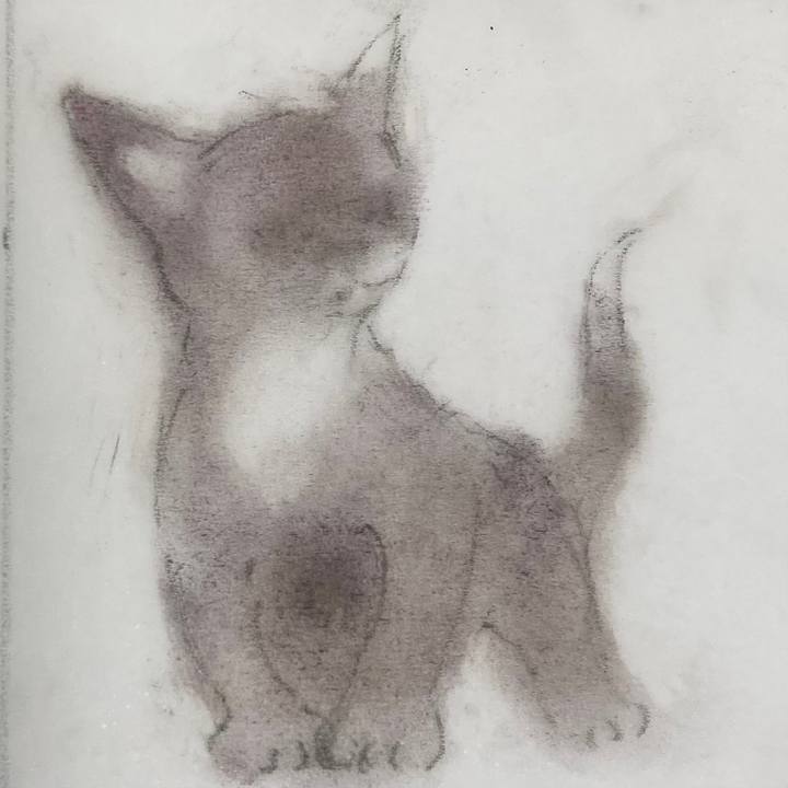 129f5050 c59d 4a7f a031 d1d4f0f73834 1662123455020