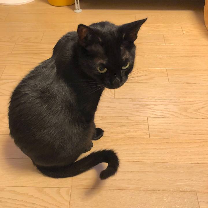 129f5ea9 6771 4c31 b98c 23747ed33968 1563547204802