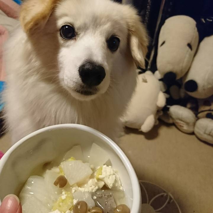 129f7efc 1289 4750 8067 5ca577a1cecd 1510385744421