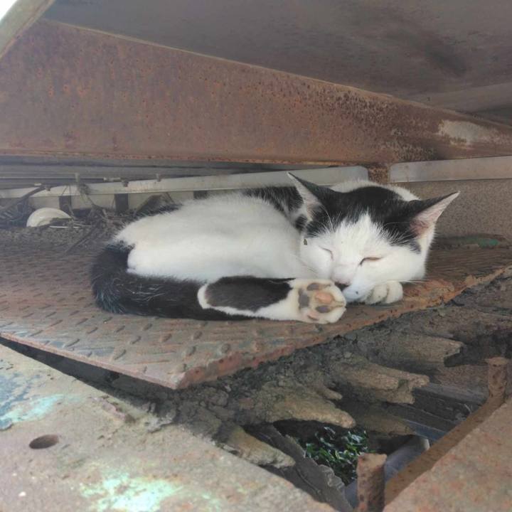 129fa87c 5623 466c 9890 87e7f063688a 1719887758359